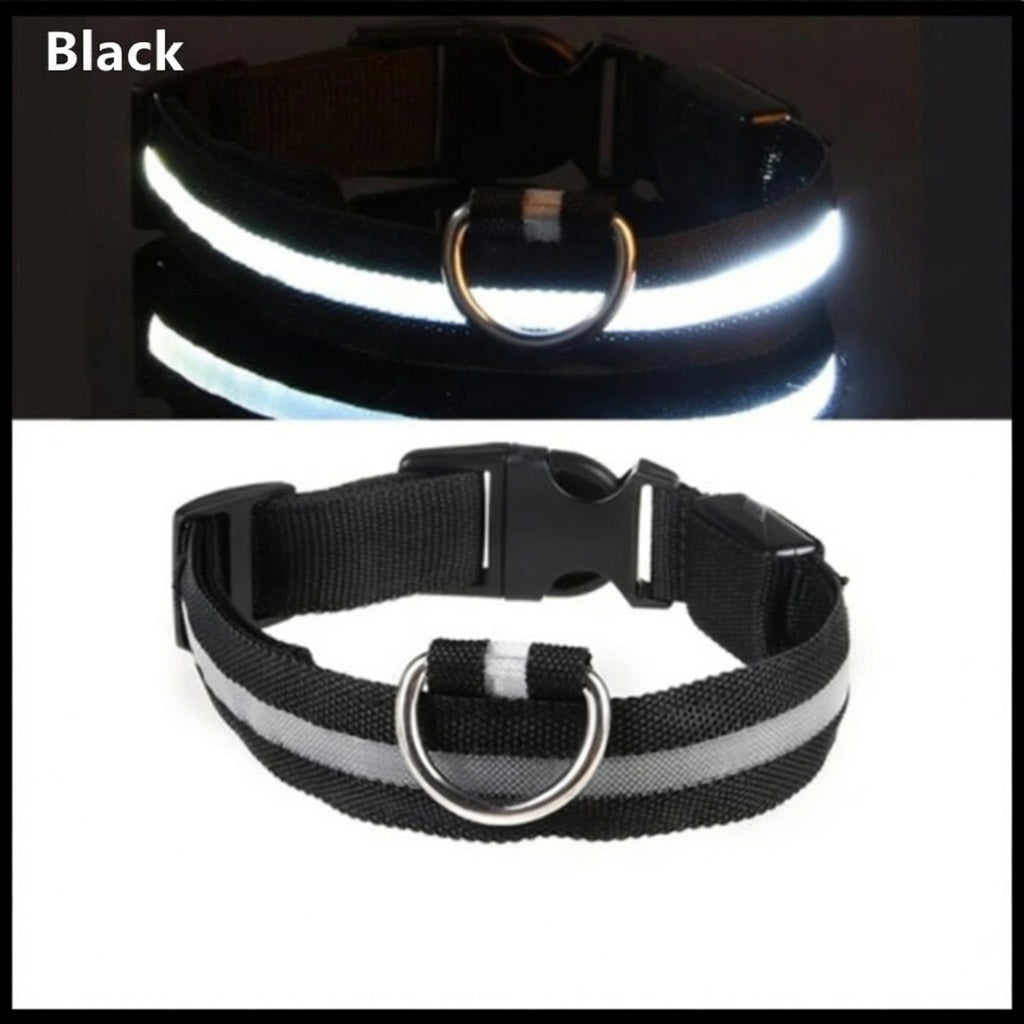 Rechargeable LED Dog Collar