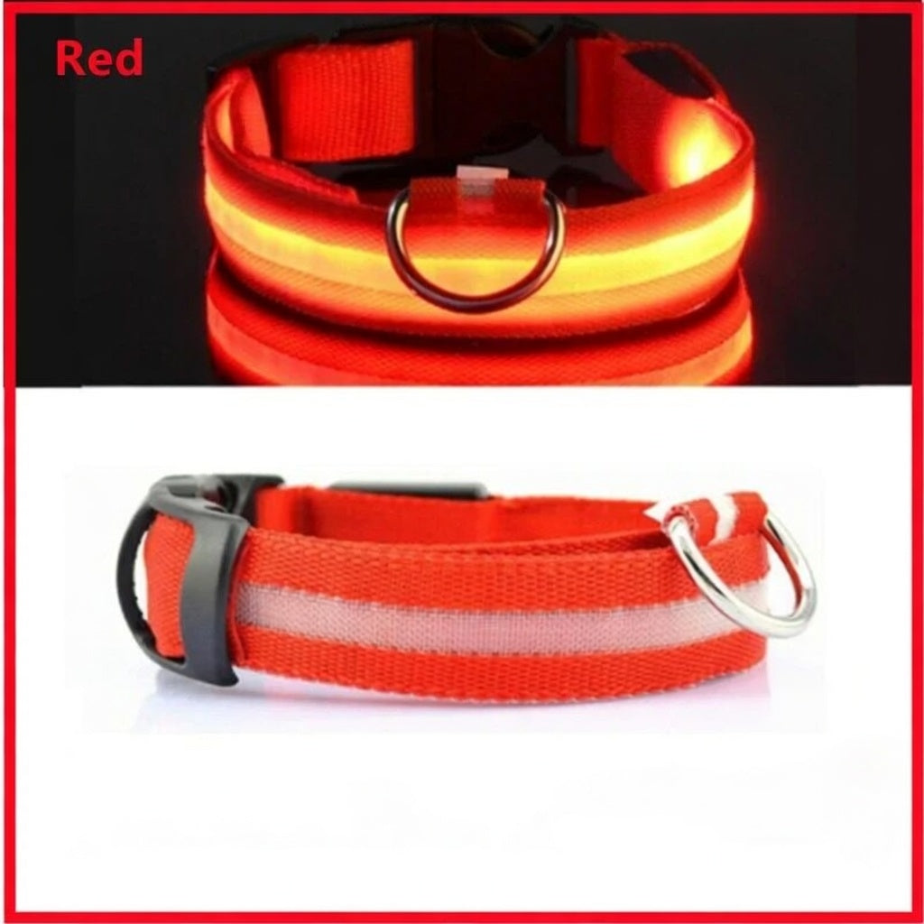 Rechargeable LED Dog Collar
