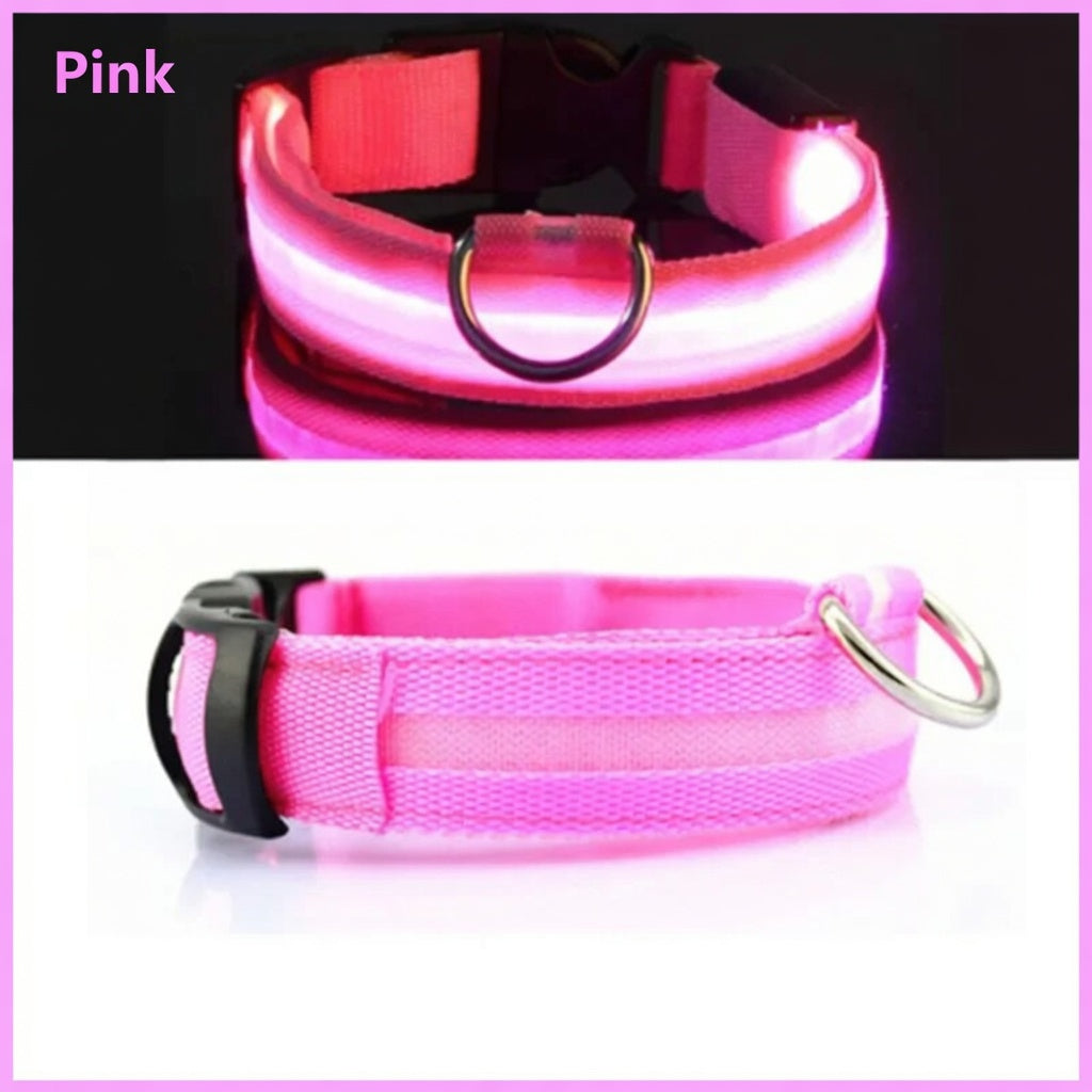 Rechargeable LED Dog Collar