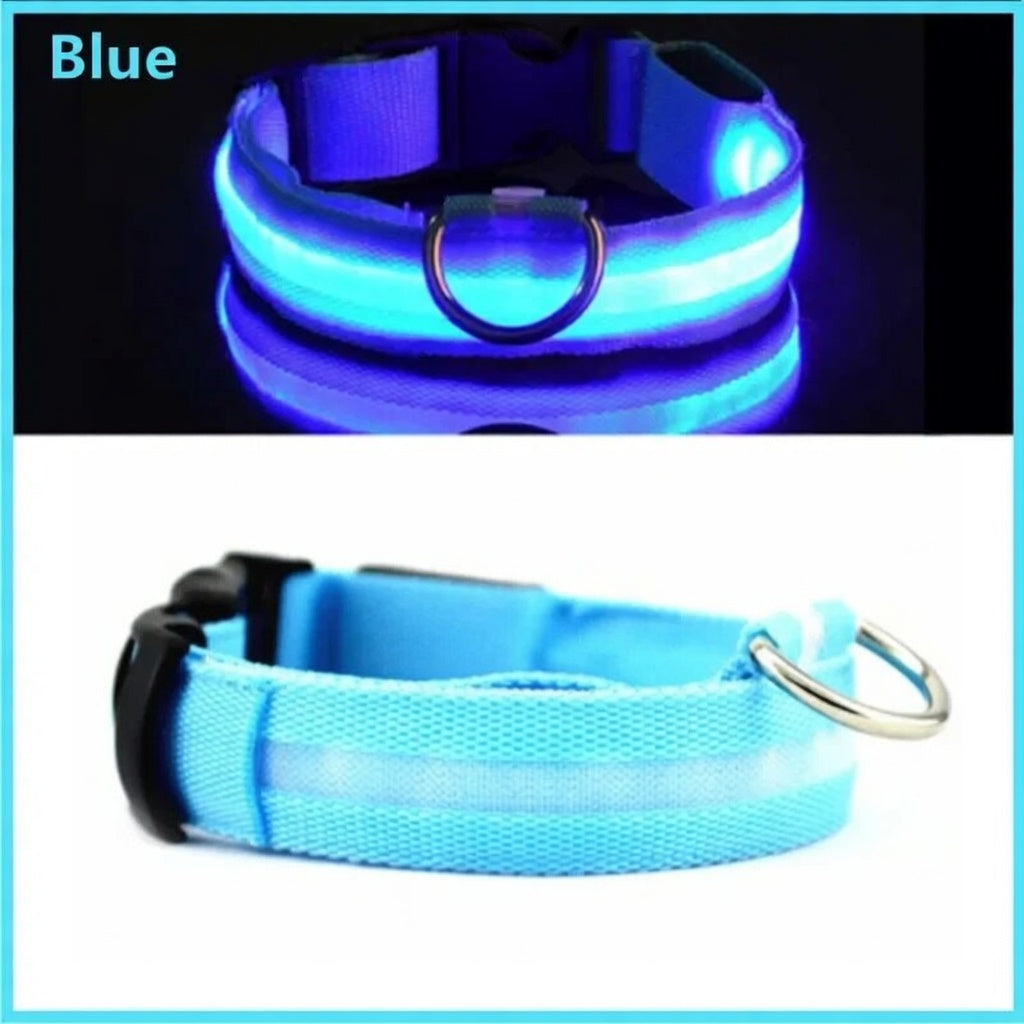 Rechargeable LED Dog Collar