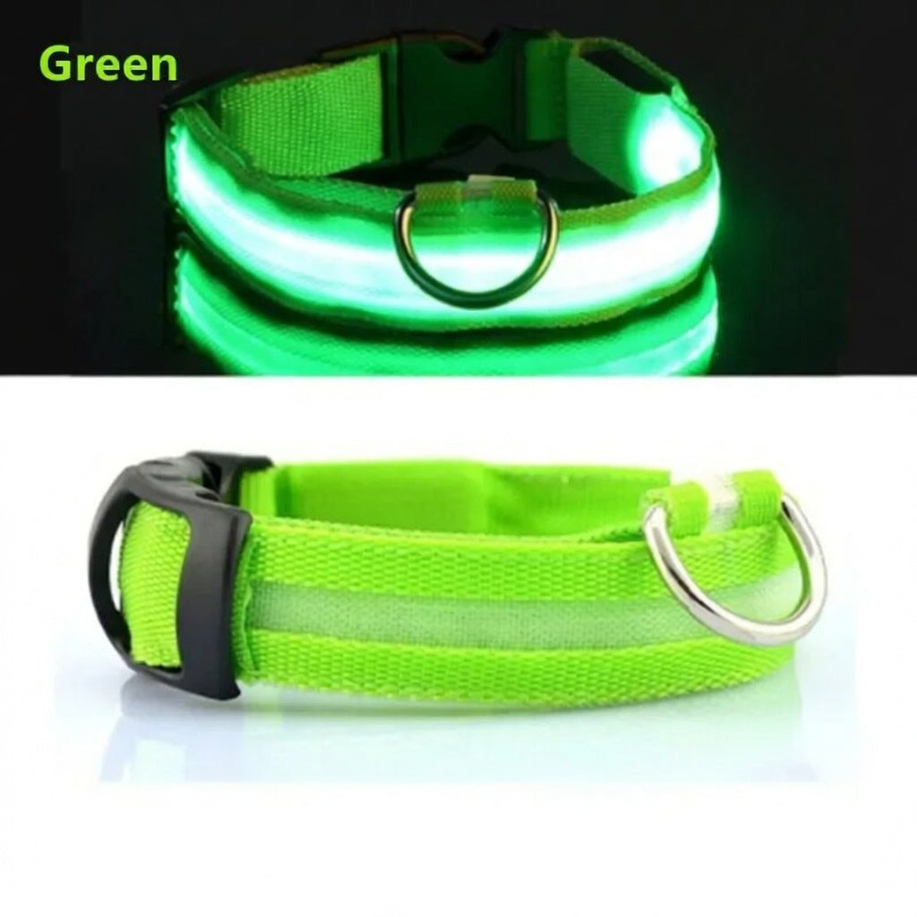 Rechargeable LED Dog Collar