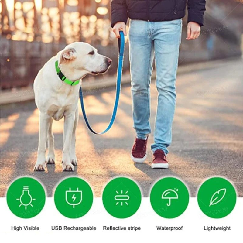 Rechargeable LED Dog Collar