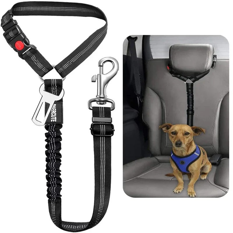 Dog Car Seat Belt